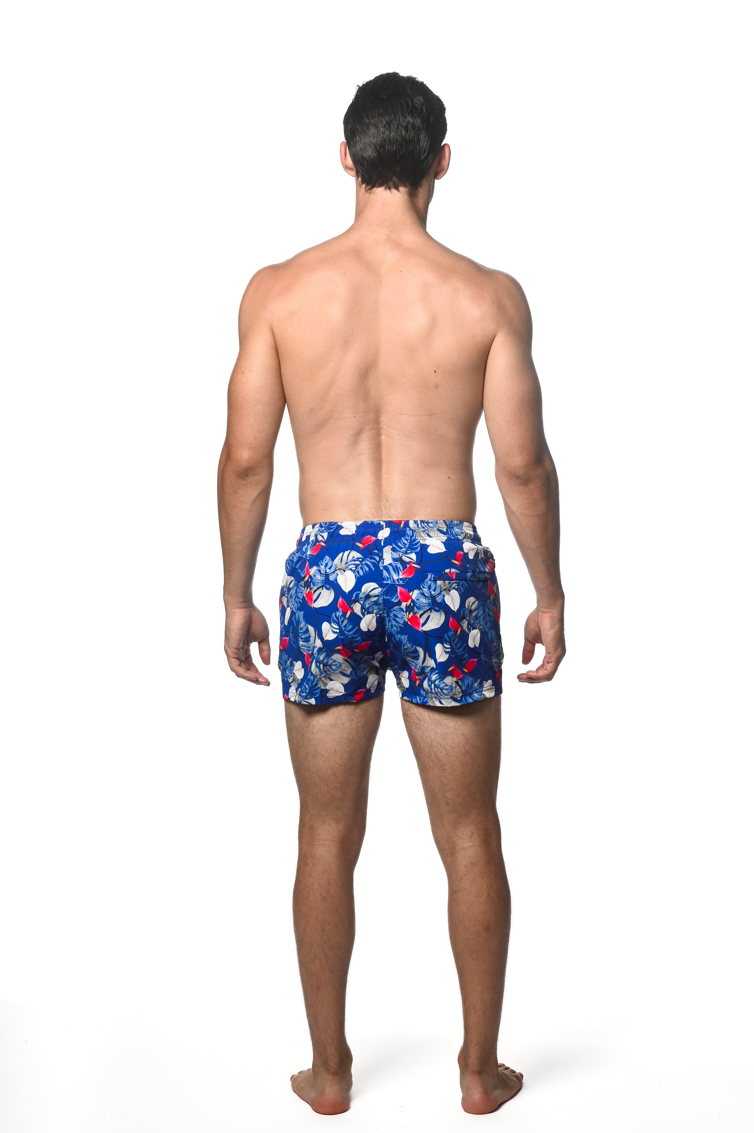 COBALT/RED TROPICALE MARBELLA 2.5" INSEAM SWIM SHORT PM-6002-50