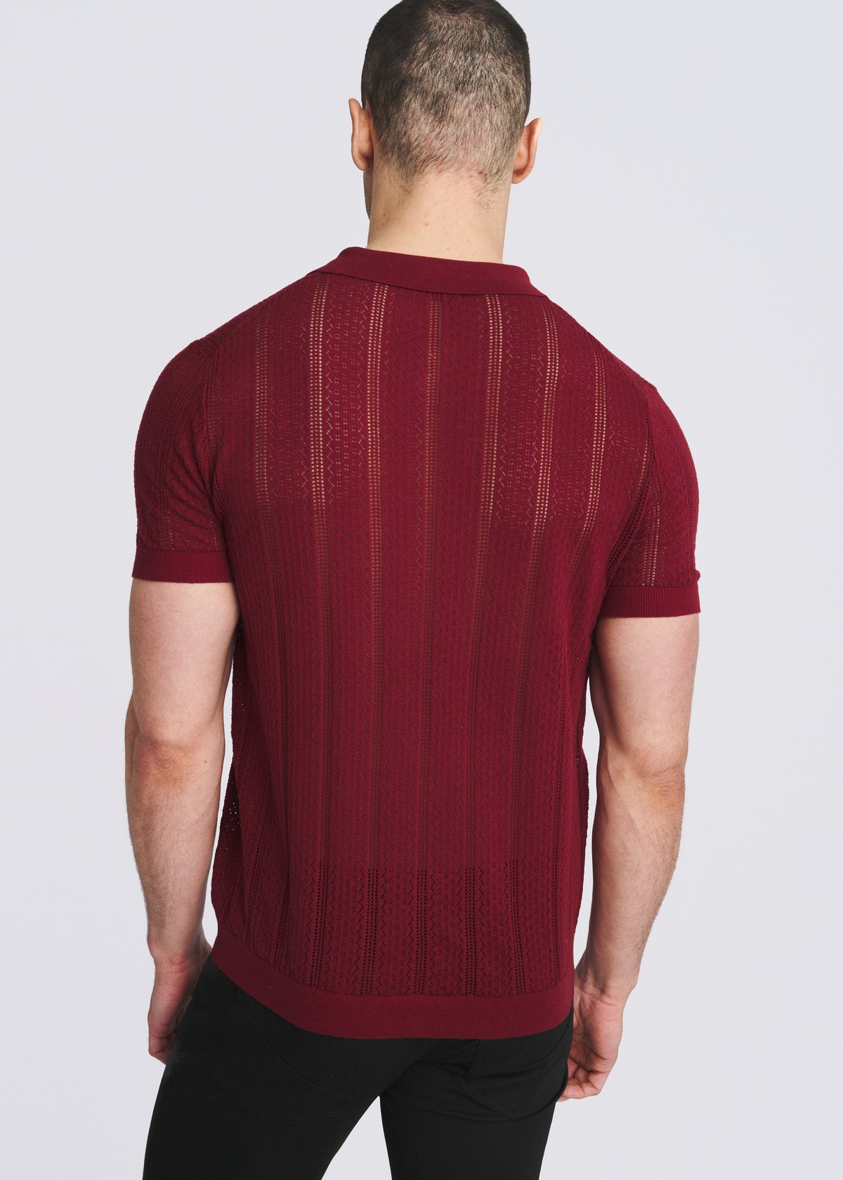 MERLOT POINTELLE COTTON 3-BUTTON KNIT POLO PM-16334